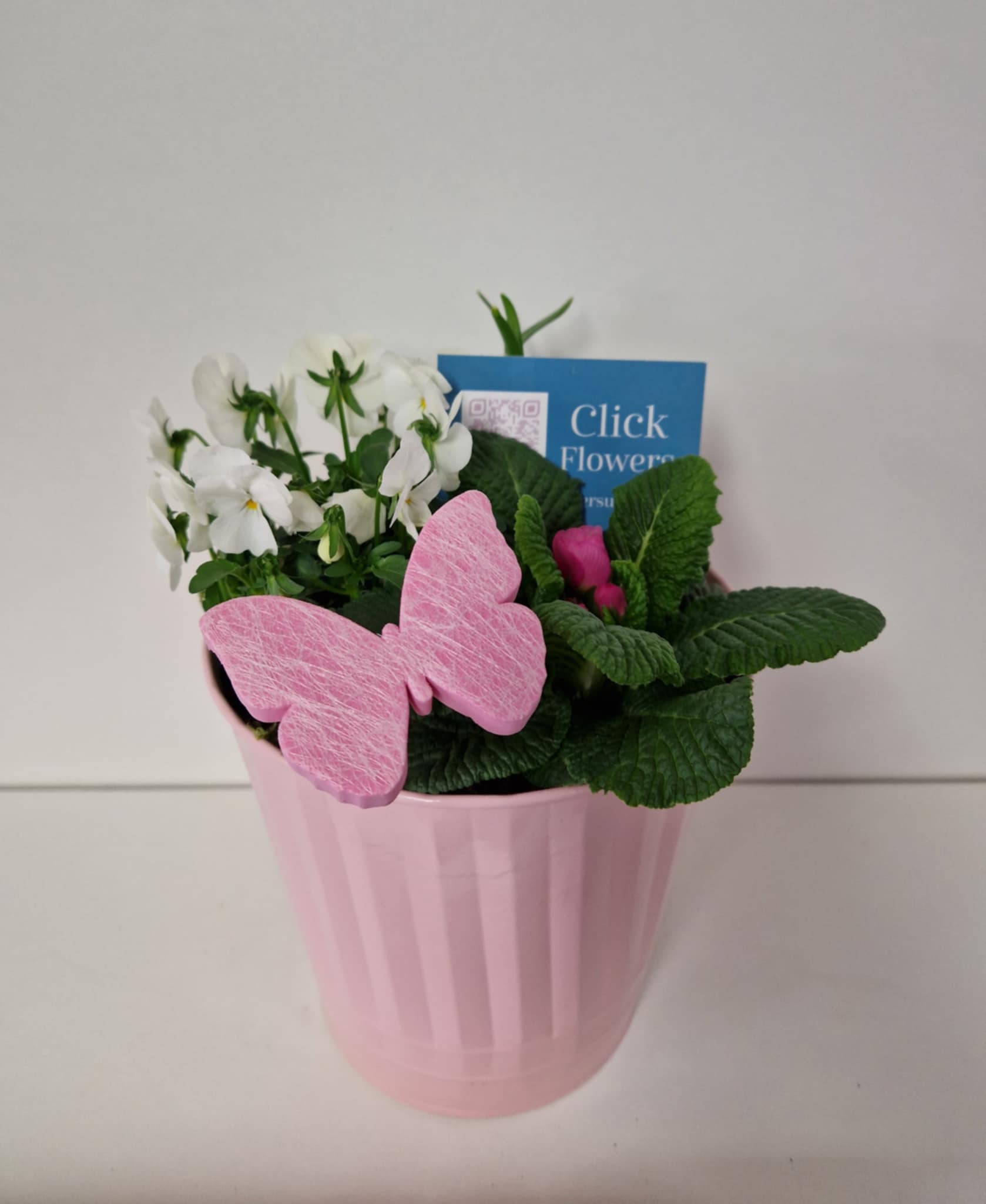 Planter - 17cm Zinc Bucket - Click Flowers UK | Fresh Flower Bouquet Delivery in Spalding, Lincolnshire