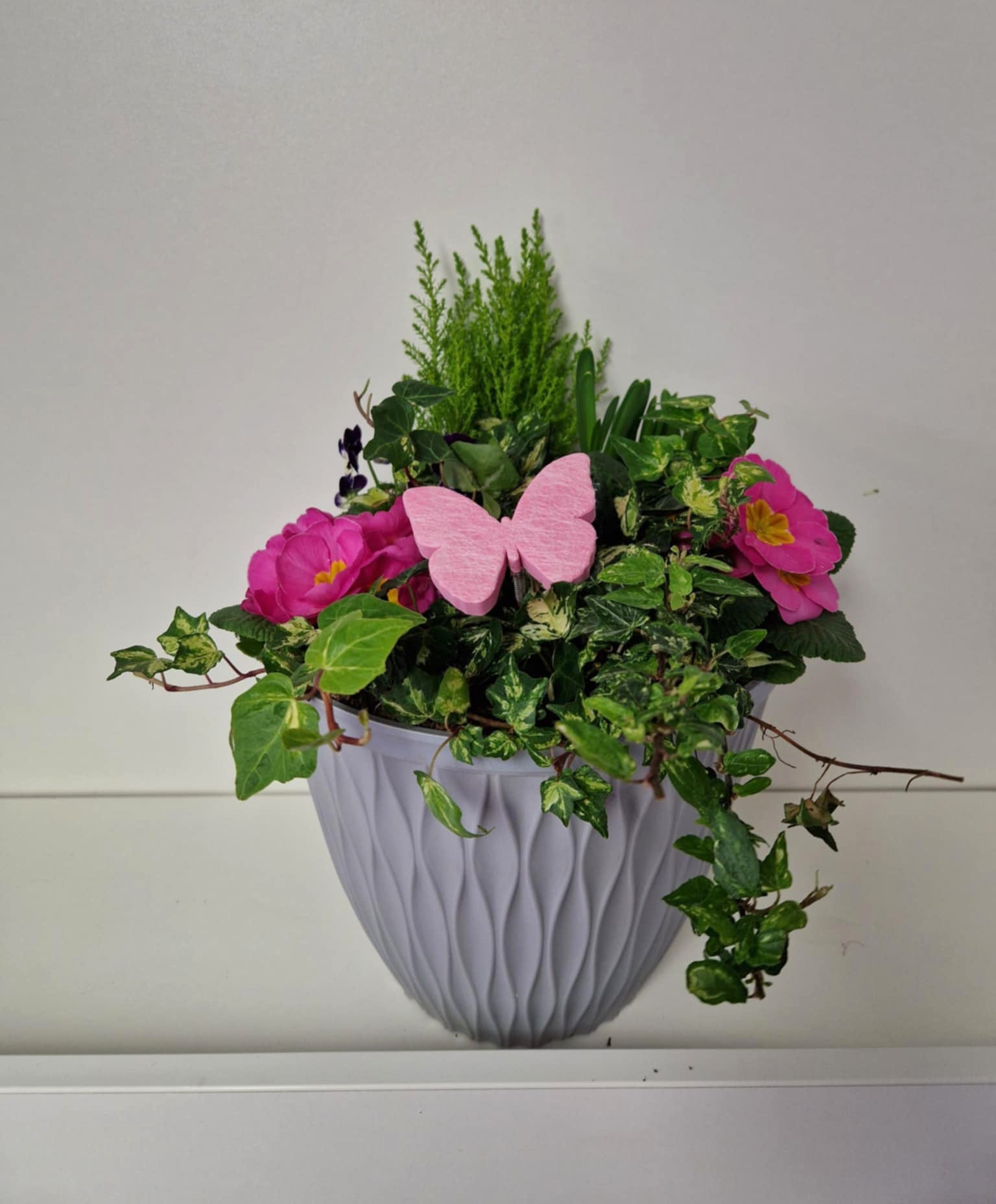 Plastic Grey Planter - 26cm Bucket - Click Flowers UK | Fresh Flower Bouquet Delivery in Spalding, Lincolnshire