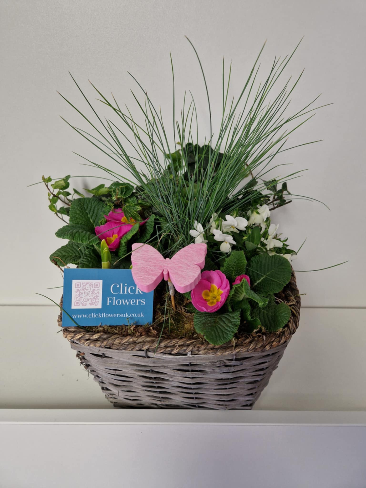 Planter - 25cm Rope Square Basket - Click Flowers UK | Fresh Flower Bouquet Delivery in Spalding, Lincolnshire