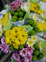 Chrysanthemum - Bunch - Click Flowers UK | Fresh Flower Bouquet Delivery in Spalding, Lincolnshire