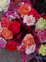 Carnation - Bunch - Click Flowers UK | Fresh Flower Bouquet Delivery in Spalding, Lincolnshire